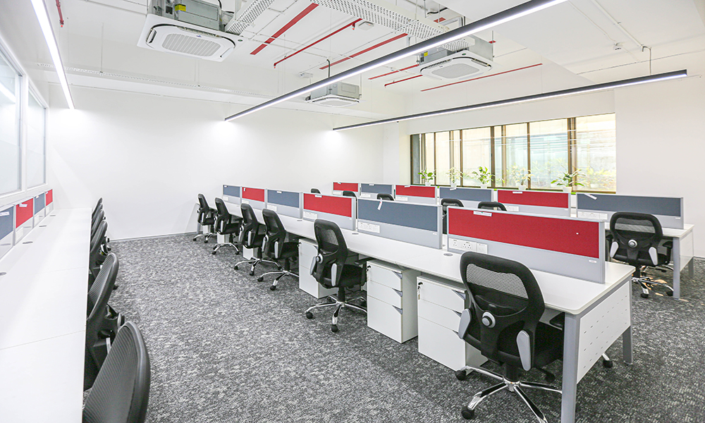 Sun Pharmaceuticals Project Image 7